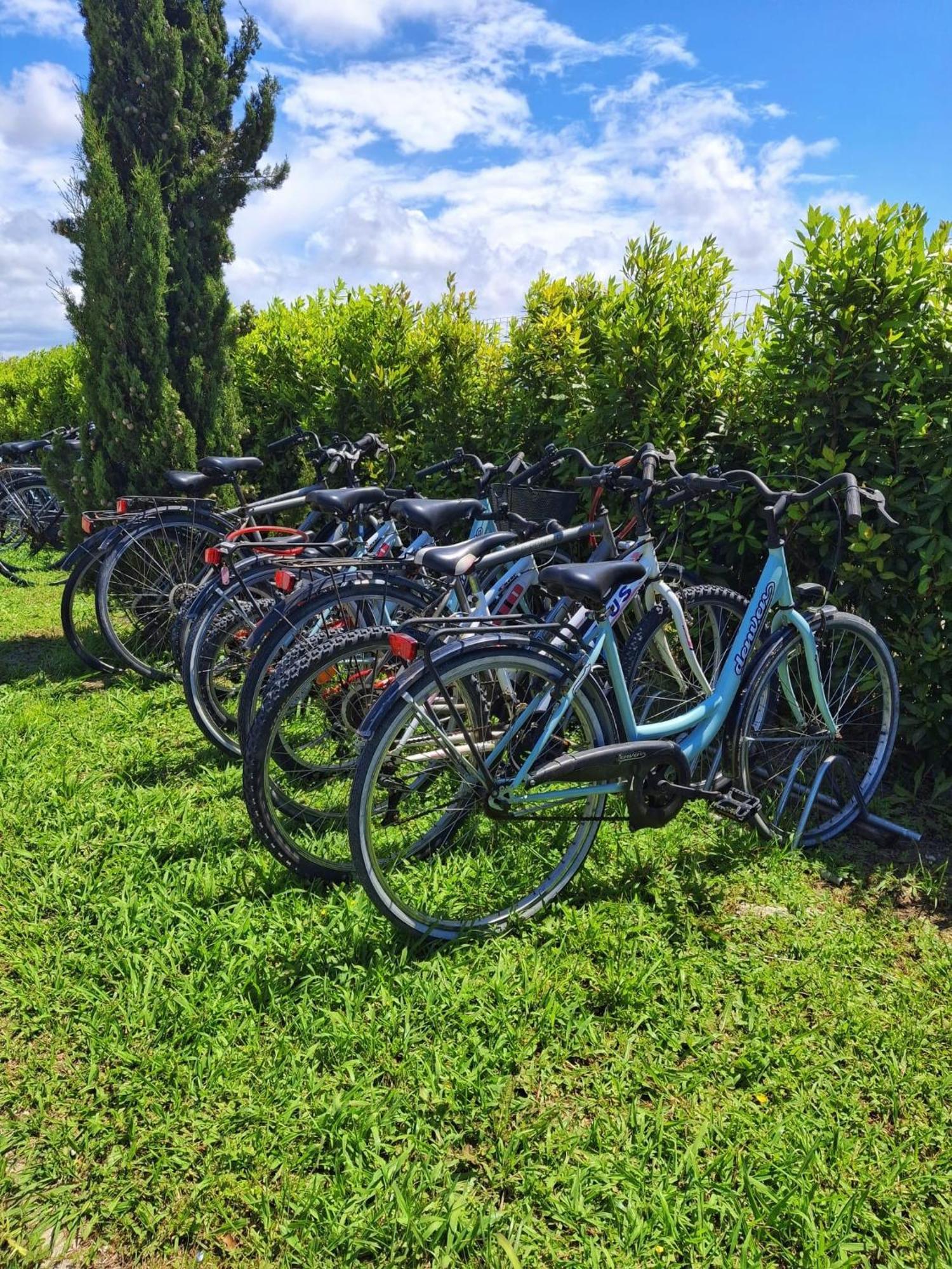 Delfino Tuscany Resort Марина ди Чечина Екстериор снимка